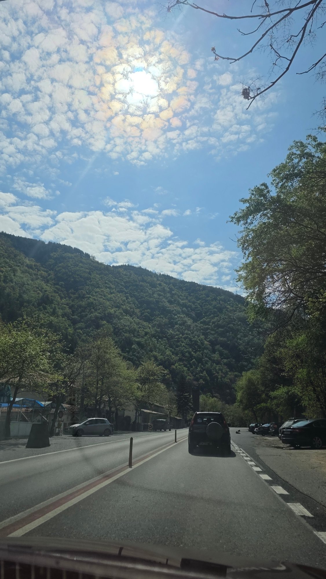 Spring morning scenes documented along Stara Kresna roadway