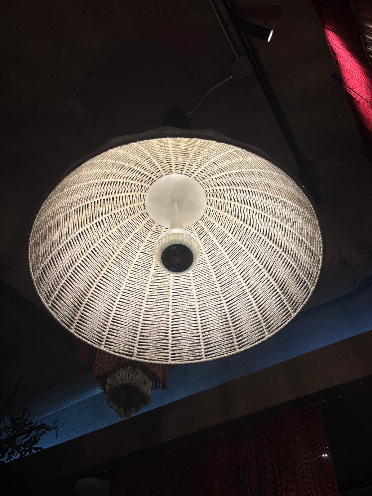 Mexico City restaurant interior documented with flowers, lighting displays