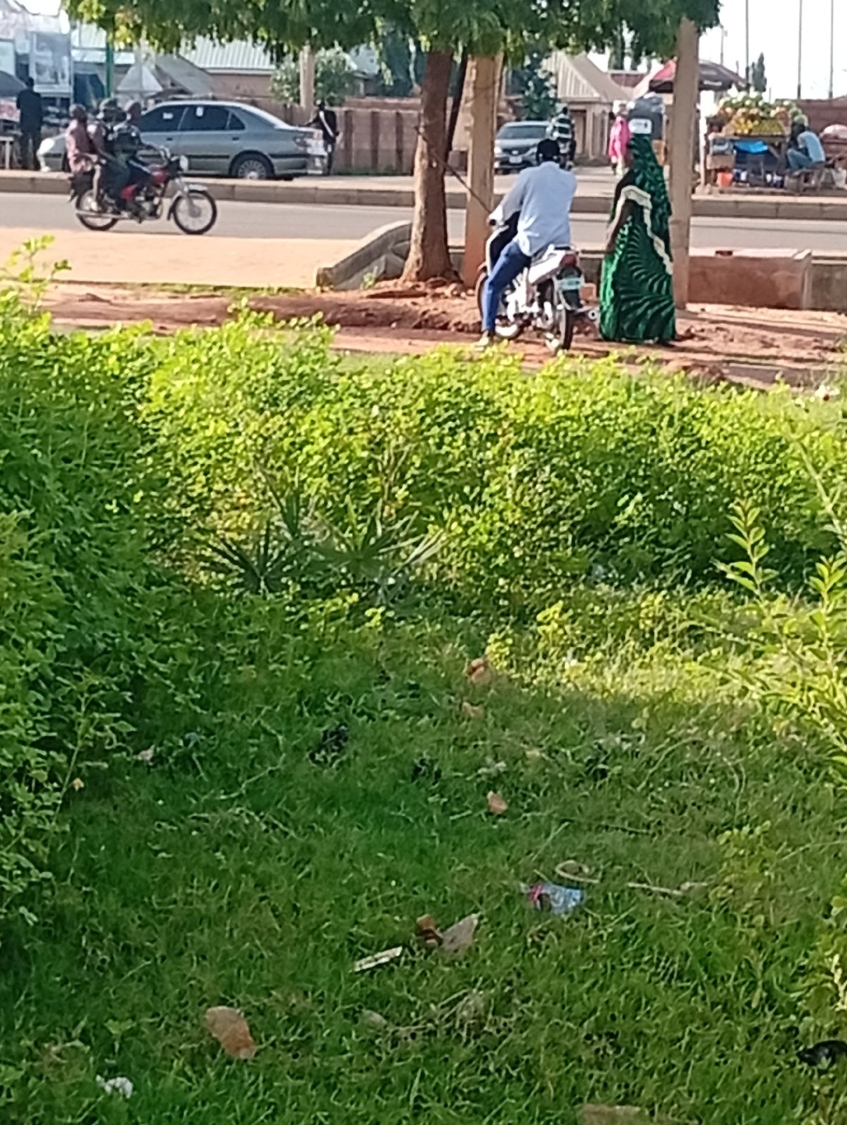 Roadside market life along a rural Nigerian highway