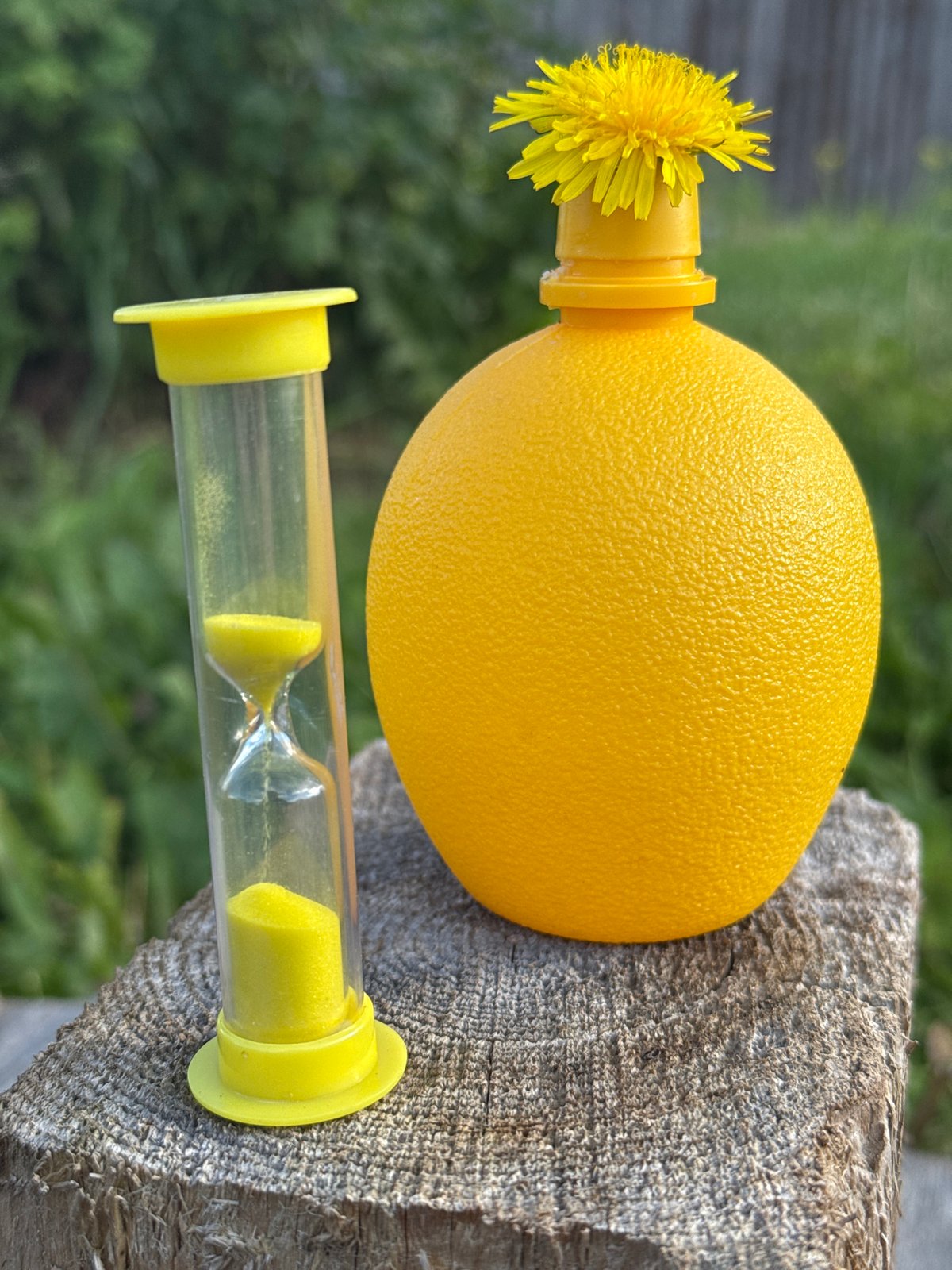 Yellow hourglass and dandelion arranged in Russian grass
