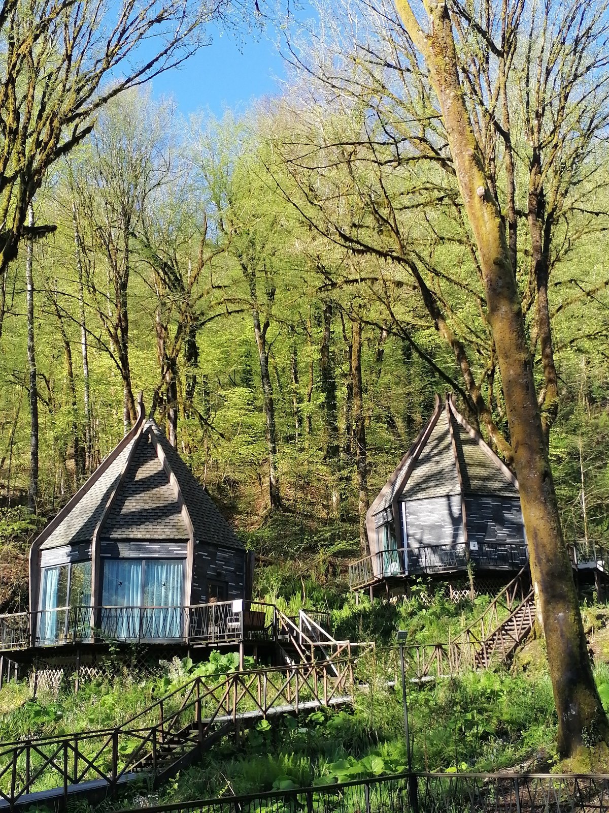 Forest cabins and woodland scenes documented in rural Russia