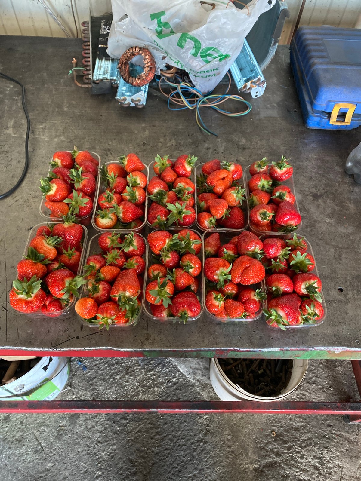 Strawberry vendor operates in Neftyanik workshop facility