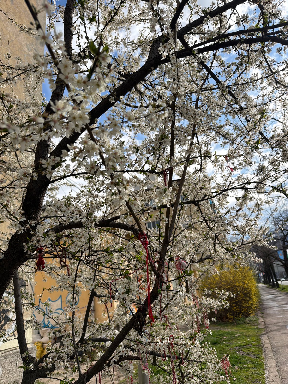 Spring traditions and modern architecture observed in Sofia