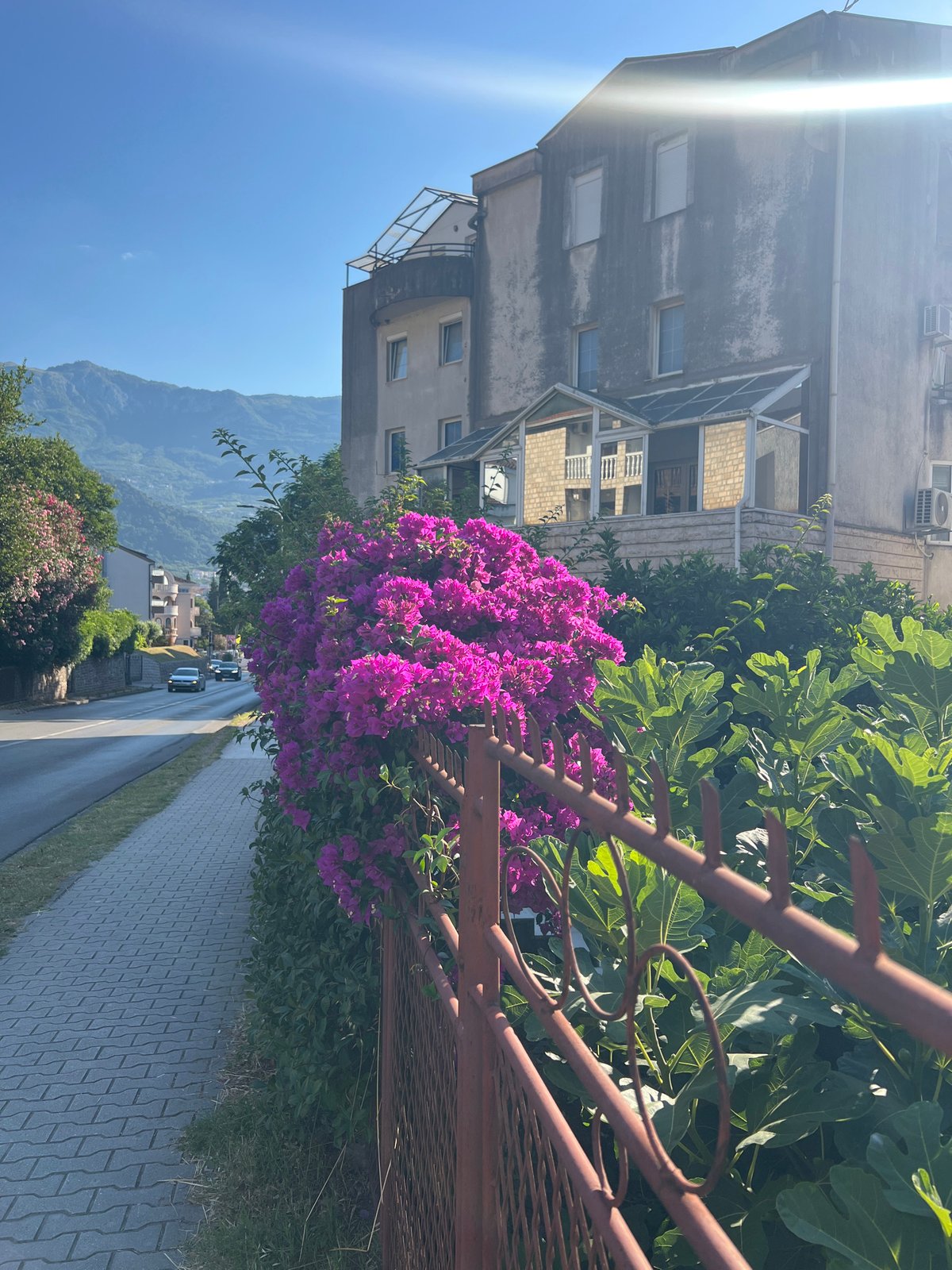Street-level details from a Budva neighborhood on a summer morning