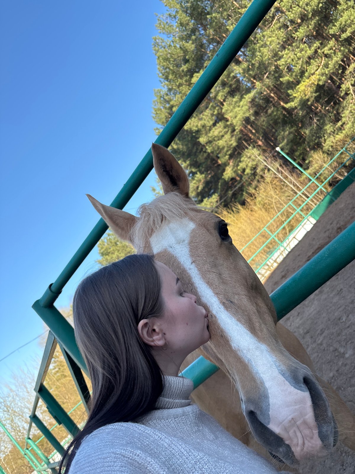 Horse riding session captured at Russian equestrian facility
