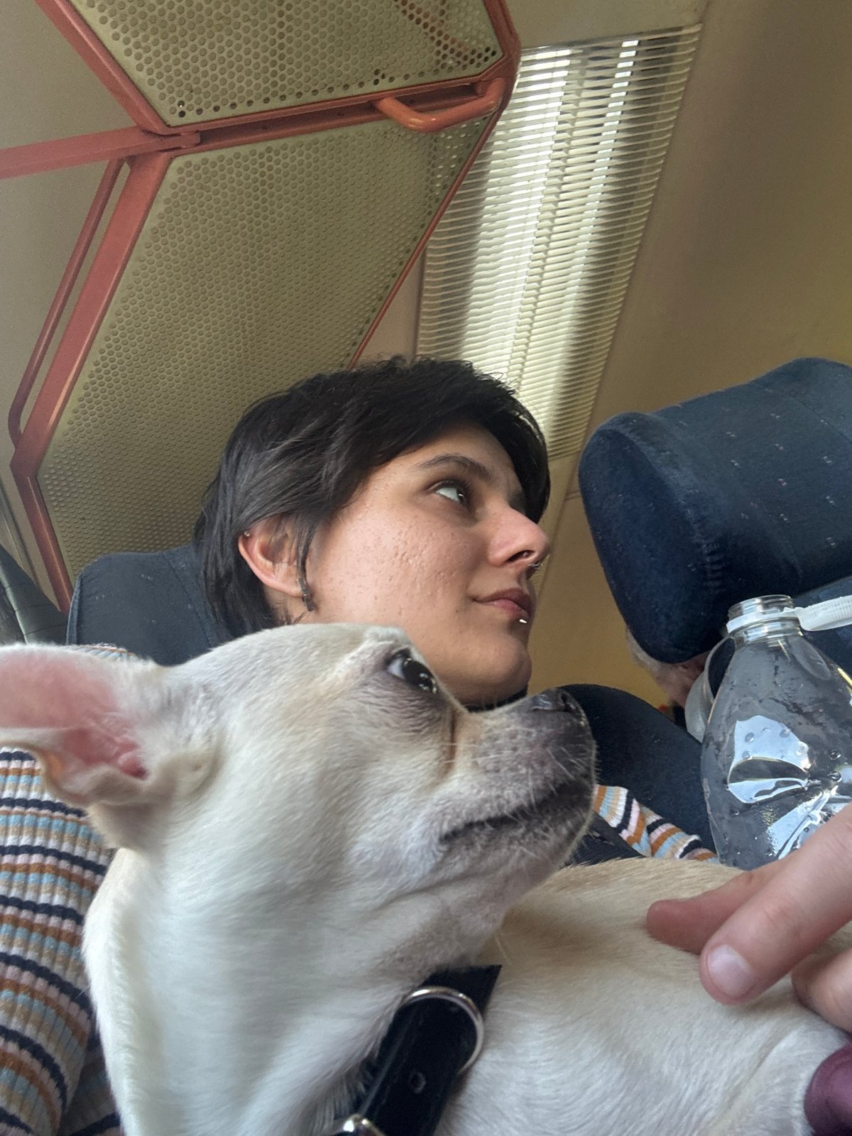 Person and dog share moment in Bulgarian village
