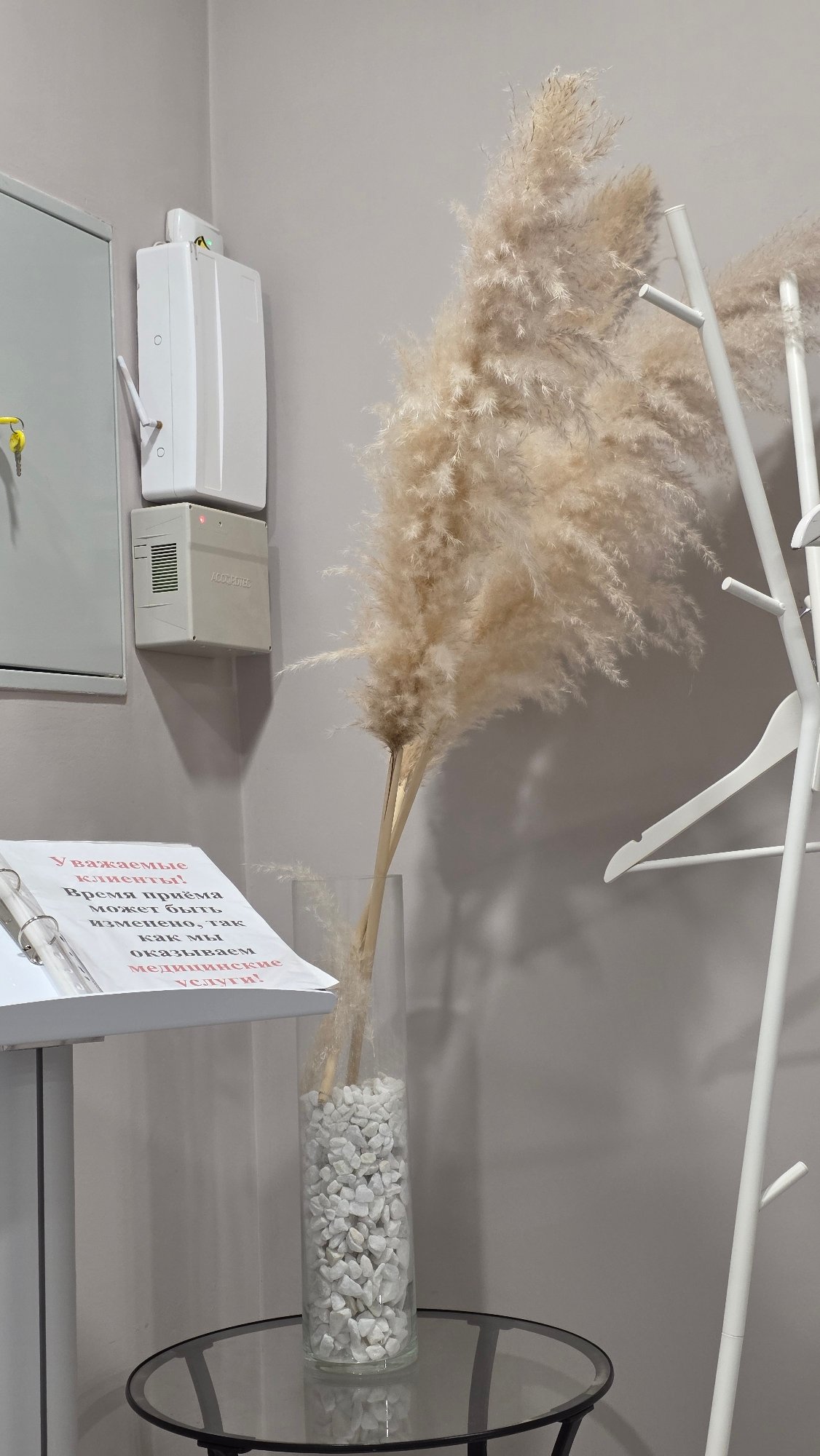 Shopper documents retail store merchandise displays during morning visit