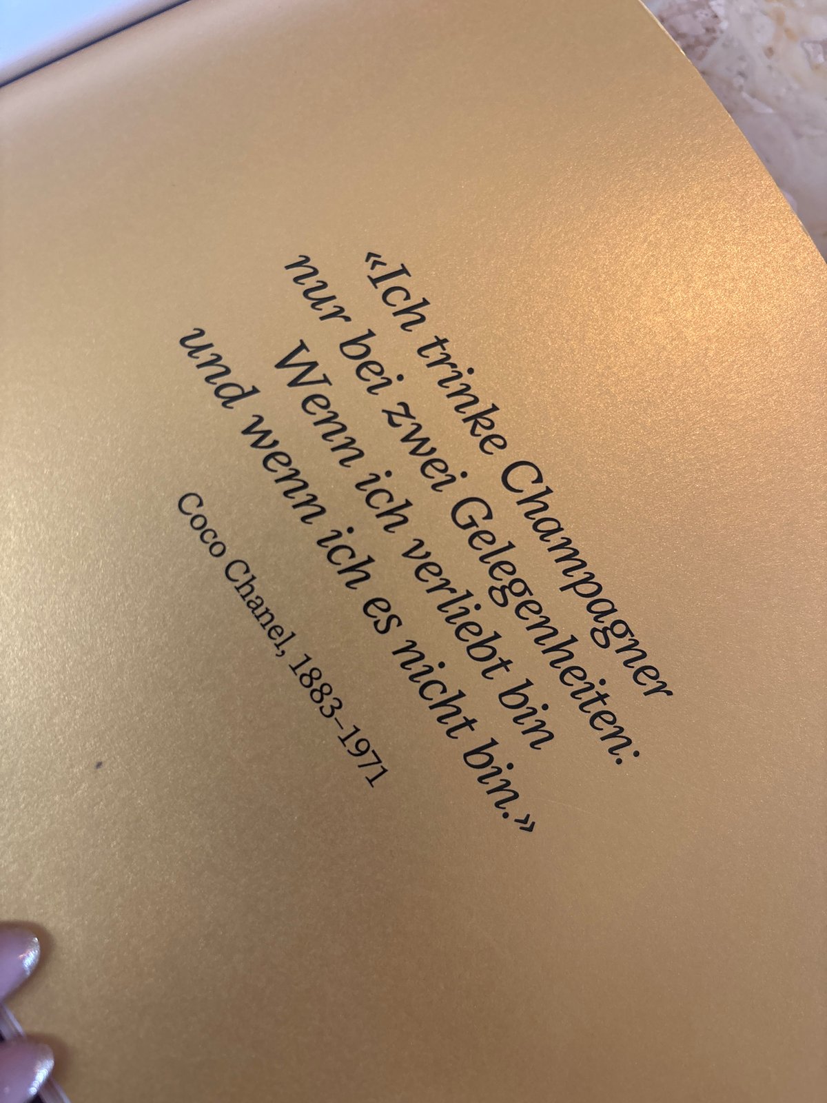Tourist reads German literary quotes, photographs Zurich landmarks