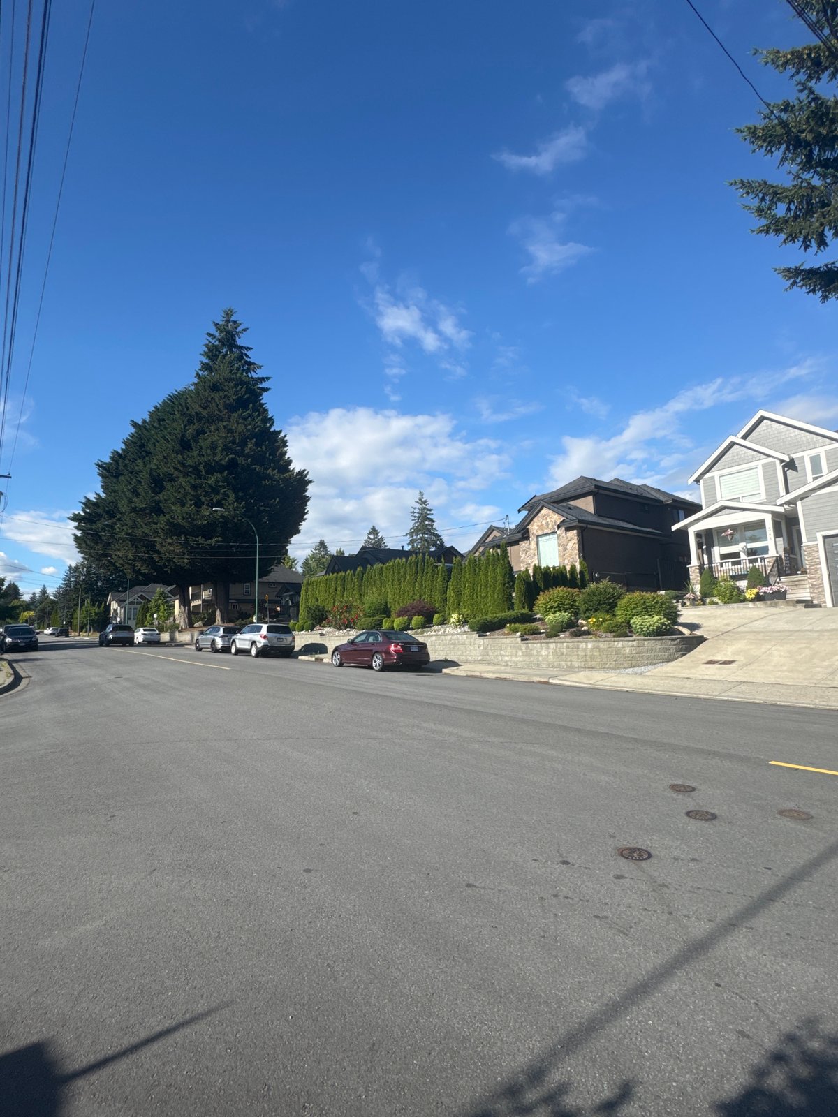 Sunny afternoon on a quiet Coquitlam residential street