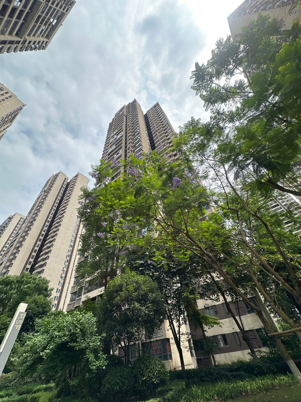 Morning scenes documented in Chongqing High-tech Zone residential district