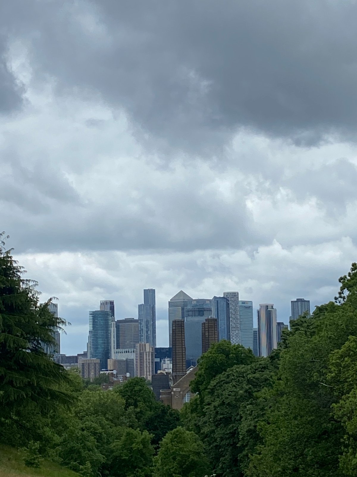 London witness captures Canary Wharf skyline views from parkland