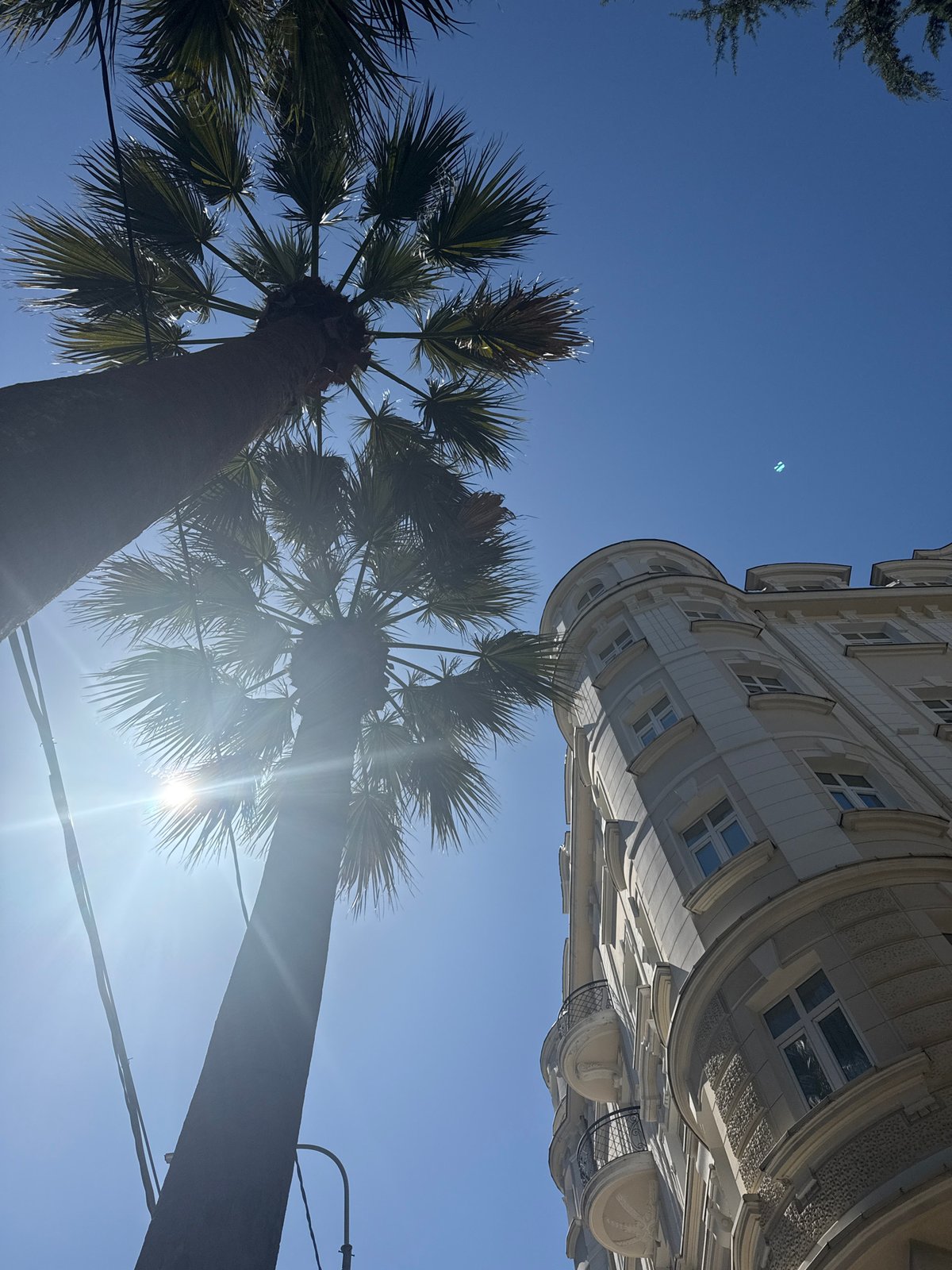 Urban scenes documented across coastal city during morning hours