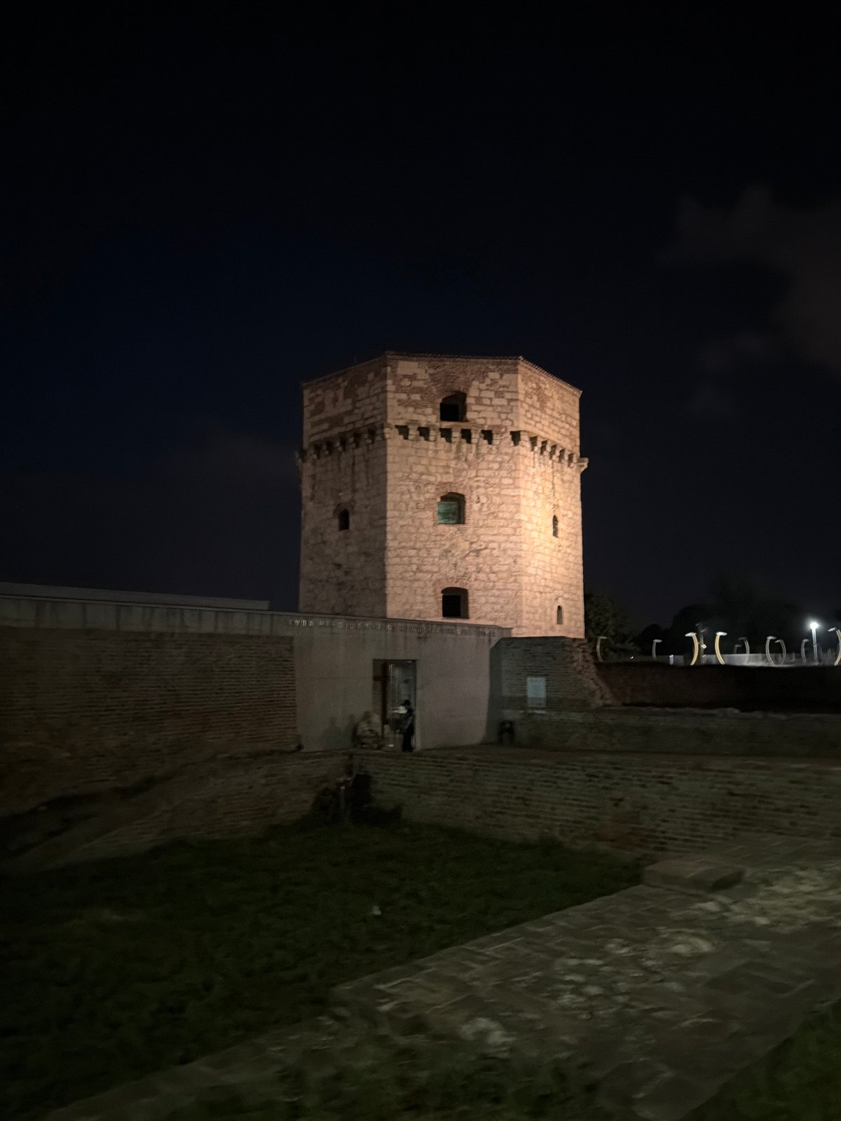 Night at Belgrade's waterfront: old tower, river, and a toad