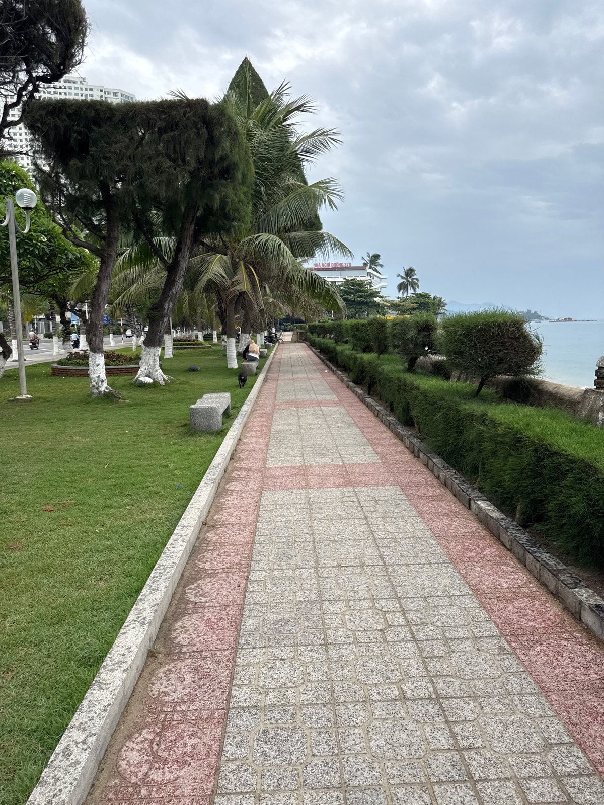 Quiet morning scene along Nha Trang's beachfront promenade