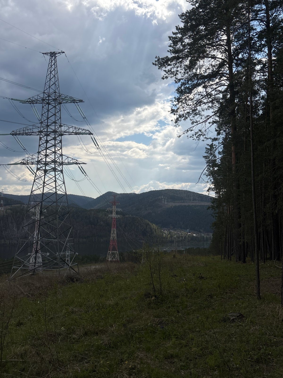 Morning forest drive and picnic documented near Krasnoyarsk