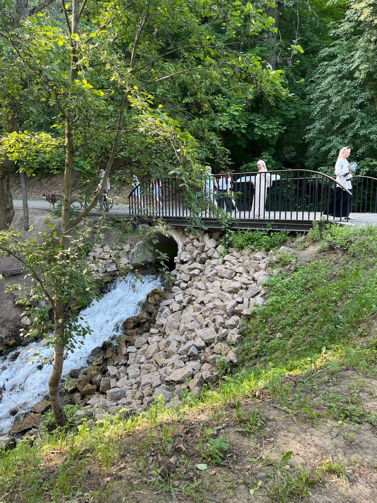Waterfall and footbridge in a Dachnoe park