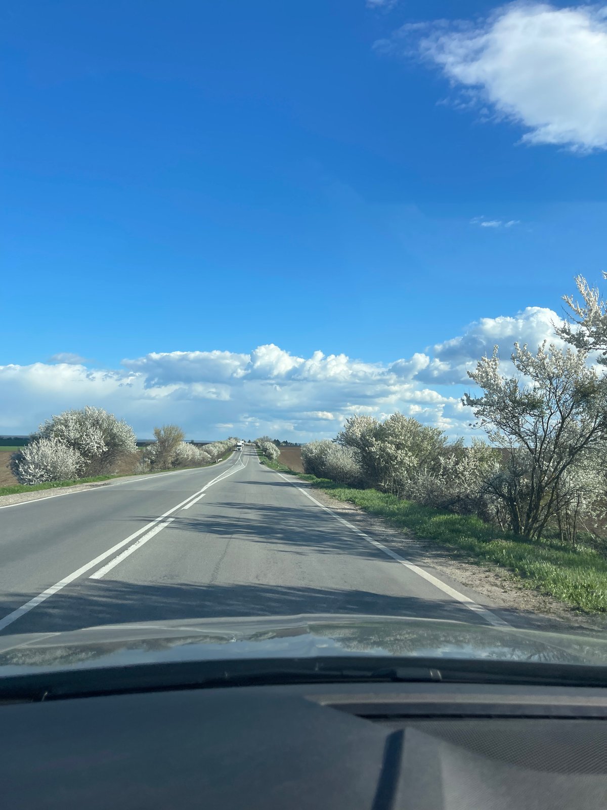 Spring road scene captured near Pisanets, Bulgaria