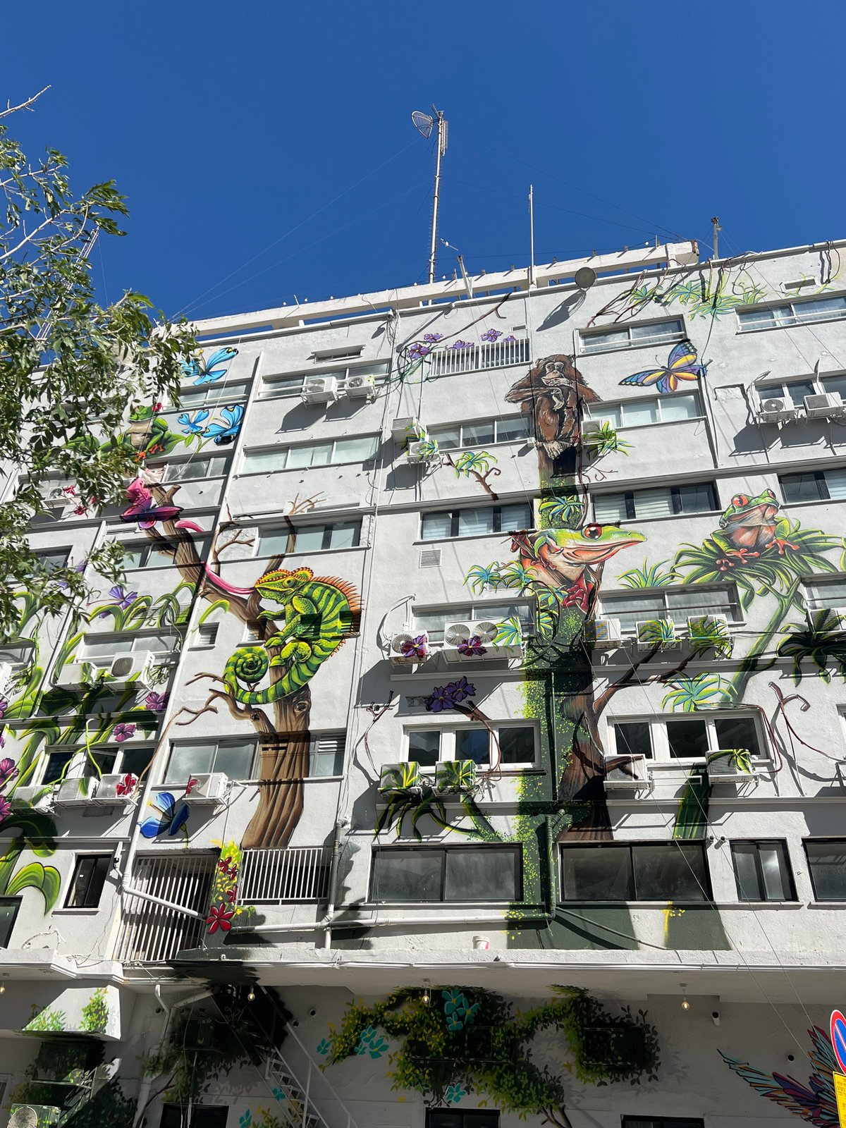 Nature mural adorns multi-story building facade in Tel-Aviv