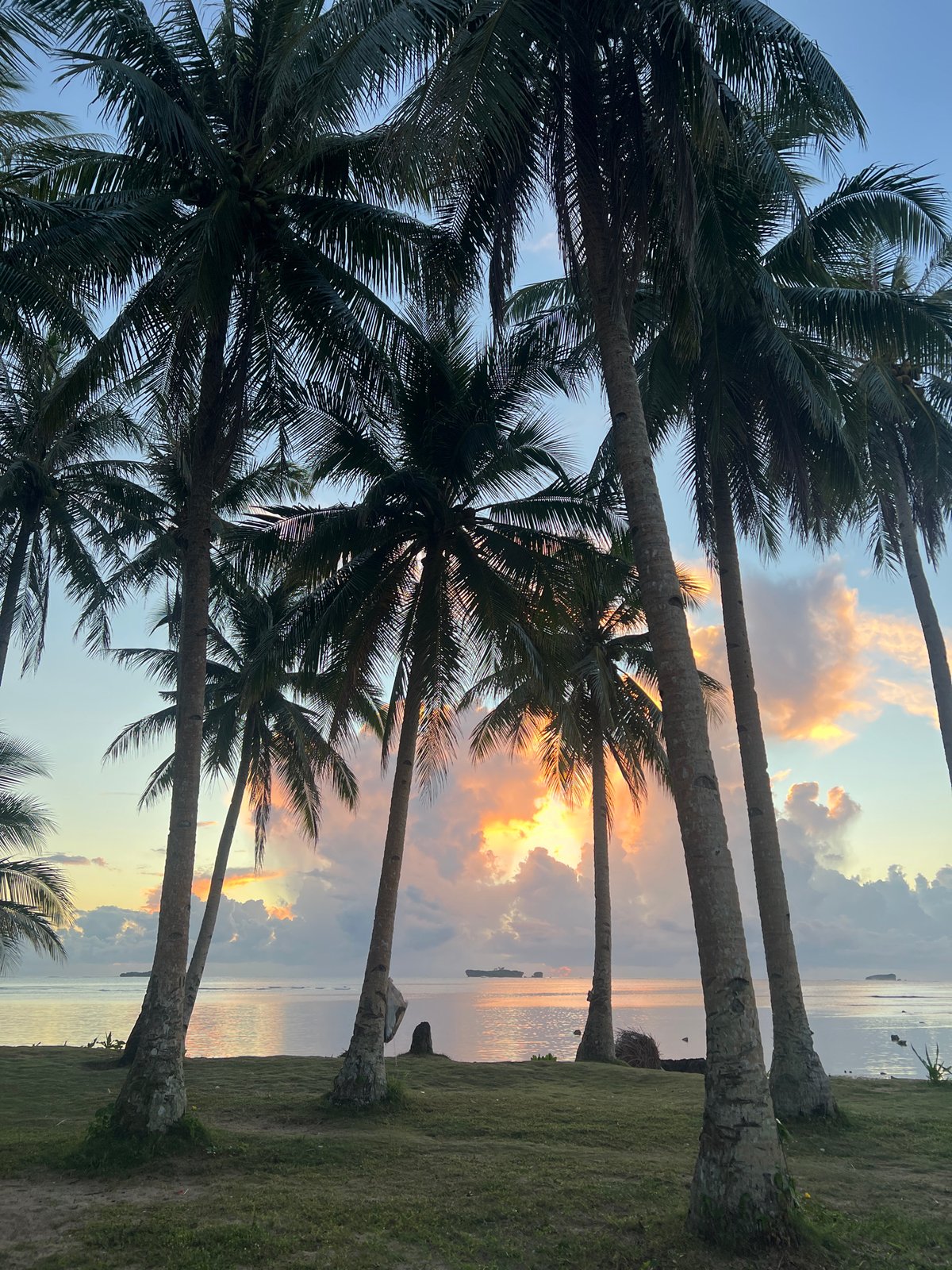 Palm trees silhouetted against a quiet tropical sky in General Luna