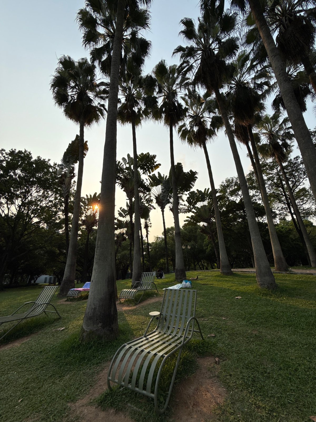 Morning park scenes captured in Futian District, China