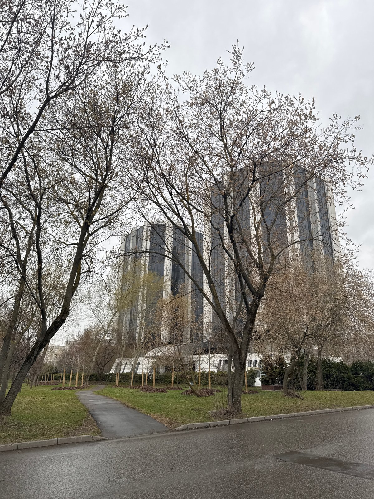 Moscow office building photographed through bare trees