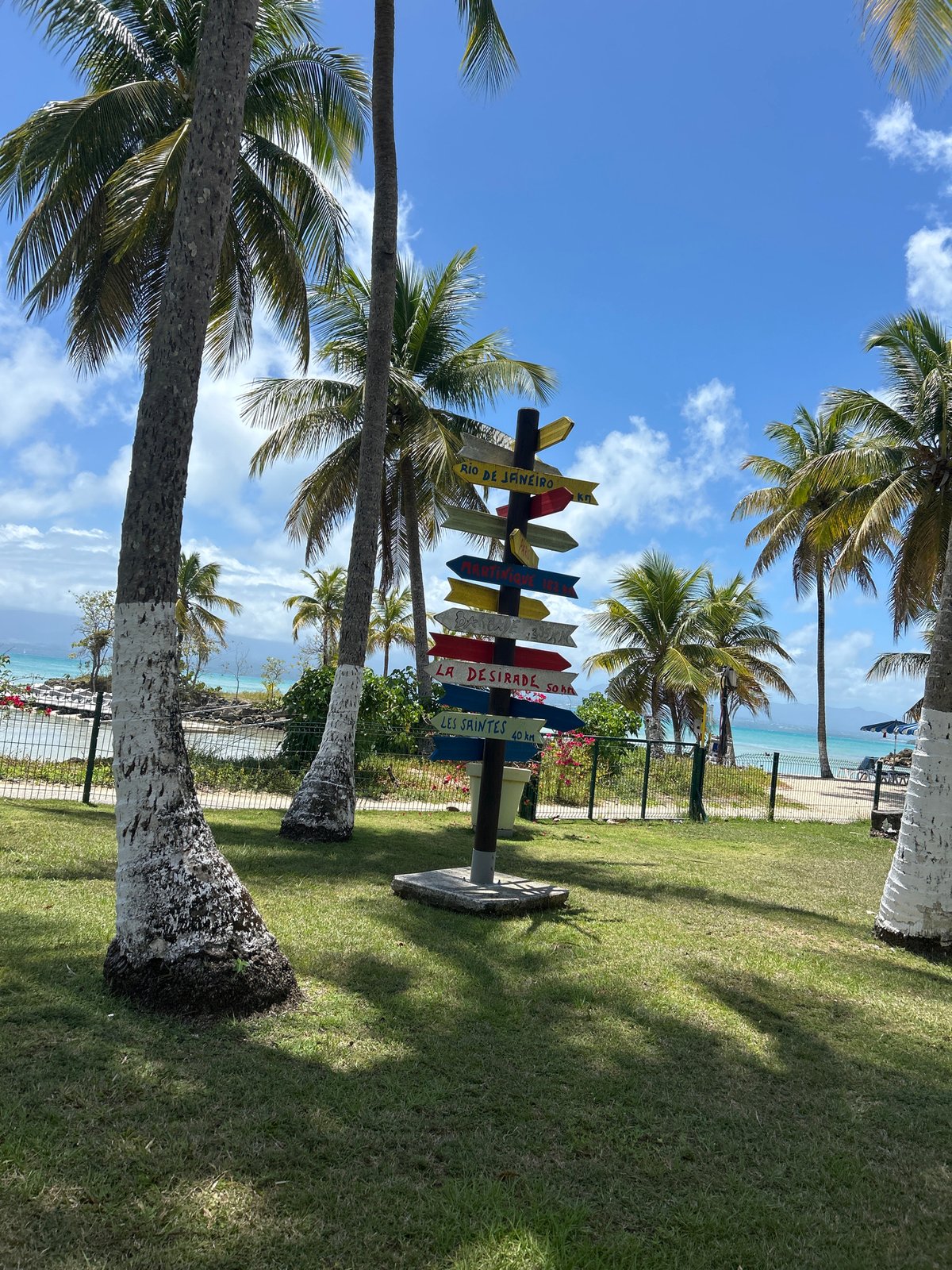 Tropical shoreline with white-painted palms and directional signage documented