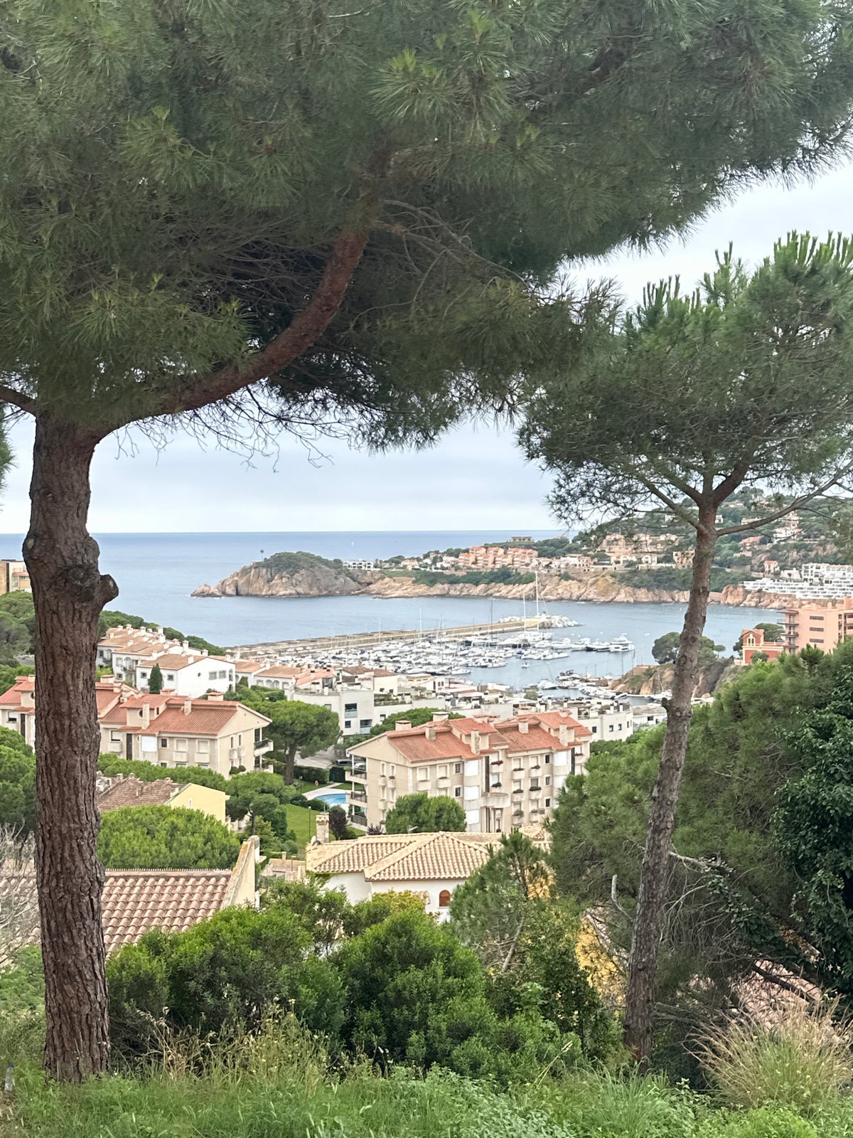 Morning moments captured in Spanish coastal town during social challenge