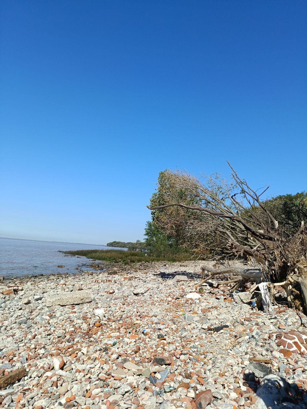 Clear skies observed over Buenos Aires rocky shoreline