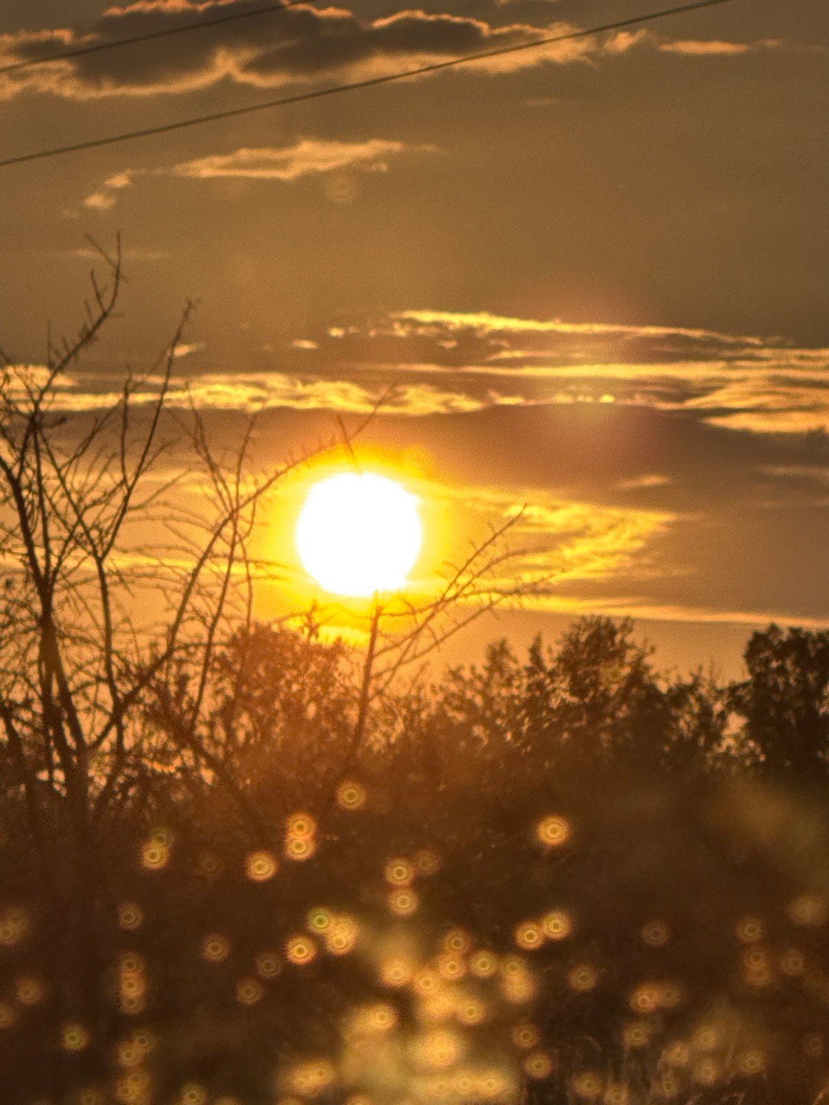 Golden dusk light through silhouetted trees in Ledenik, Bulgaria