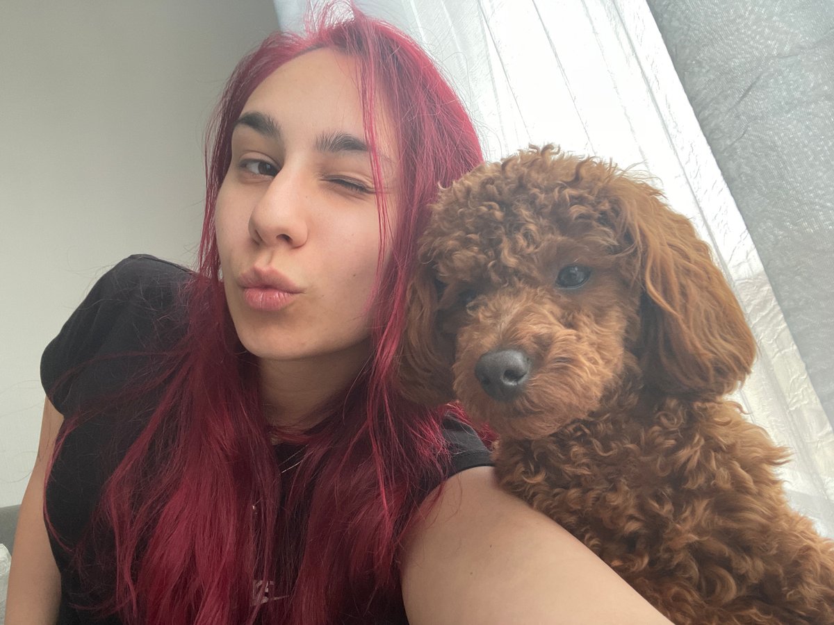 Domestic moments with woman and poodle captured in Smolyan