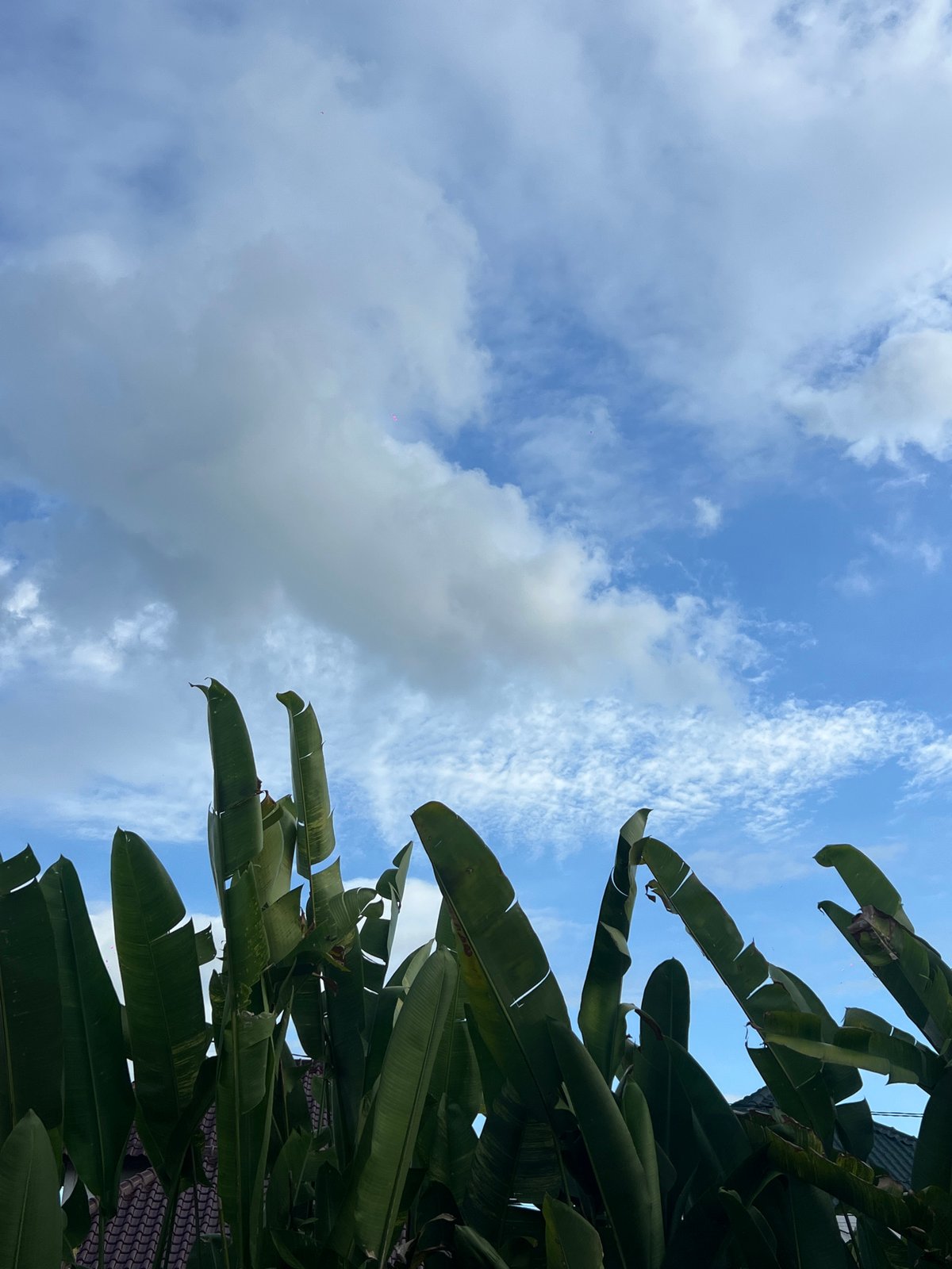 Morning scenes captured in North Kuta Indonesia street