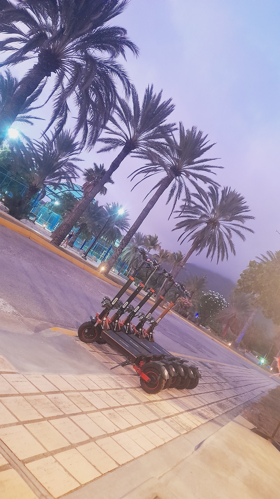 Electric scooters at dusk along a palm-lined street in Pedro González