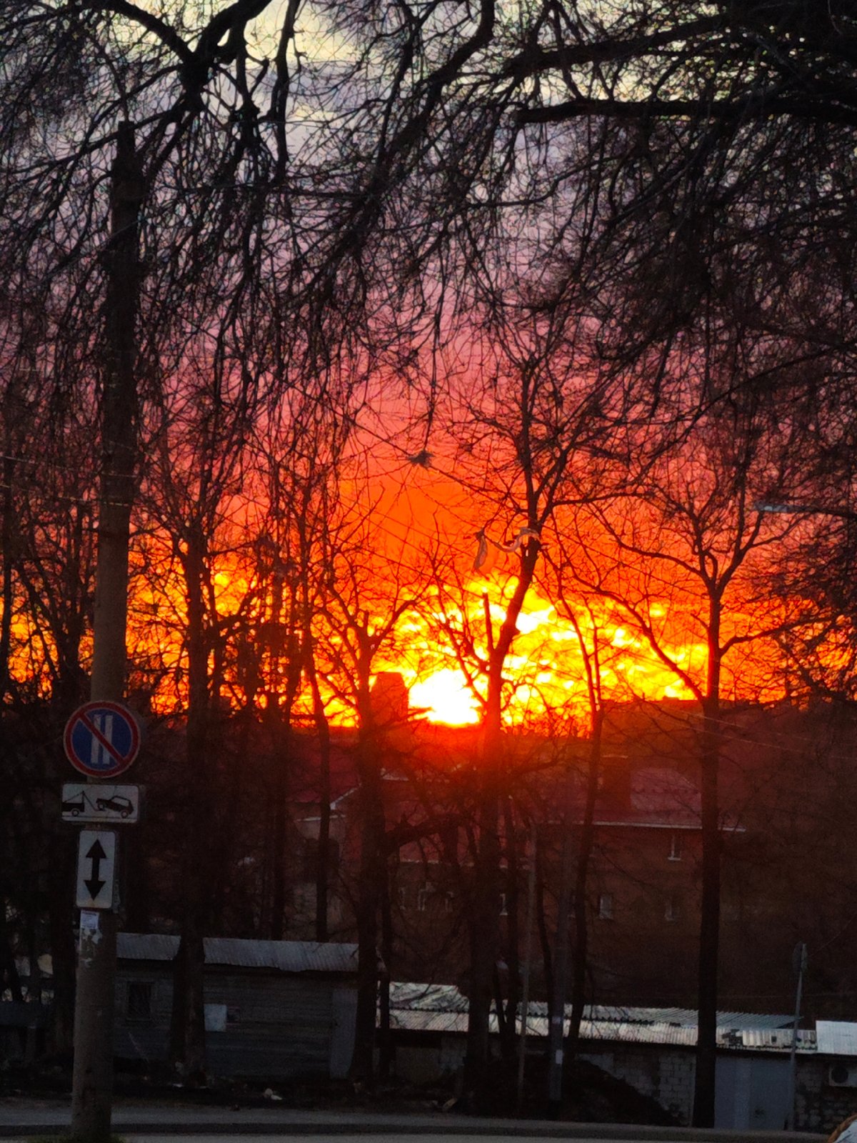 Sunset observed through bare trees in Samara, Russia