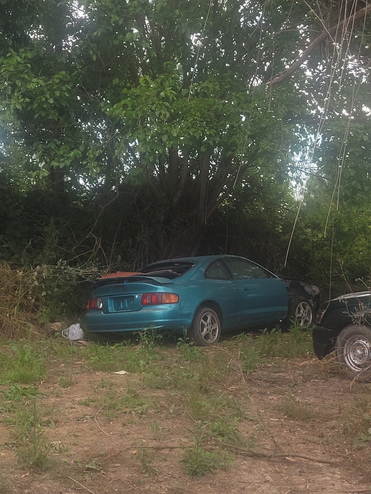 Abandoned cars spotted in wooded area near Andravida