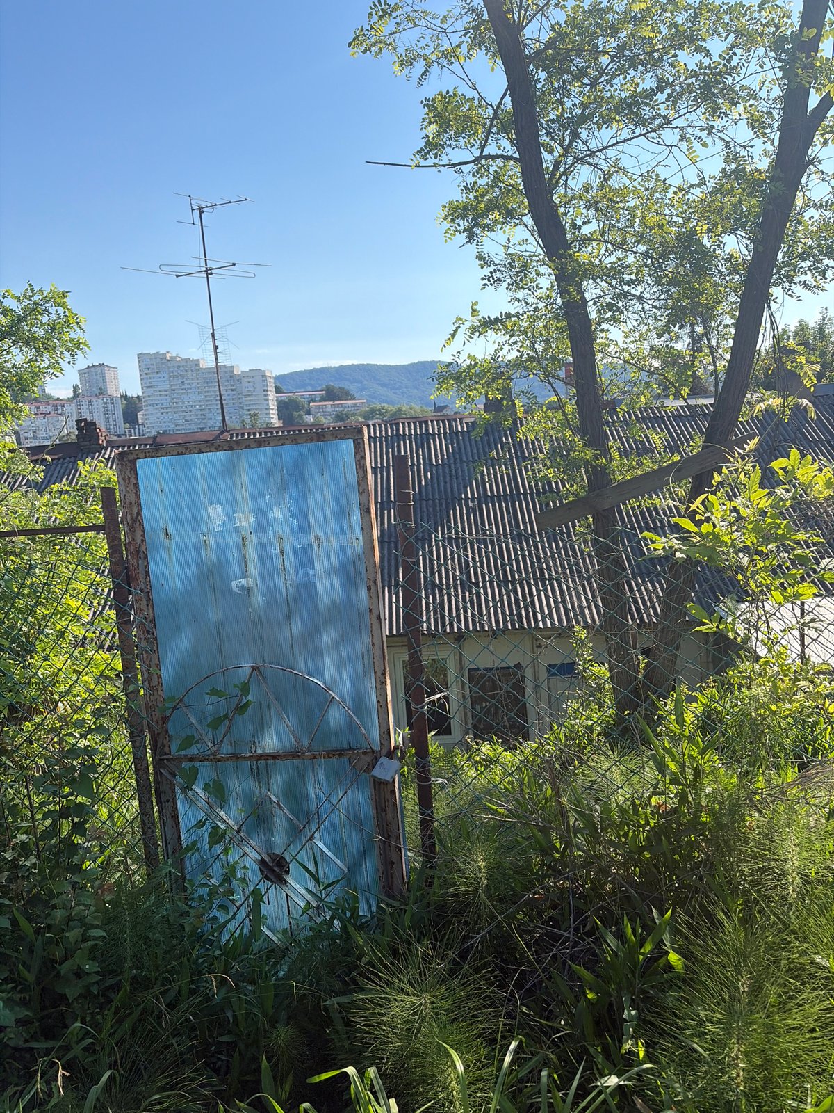 Morning walk documented through Sochi neighborhoods in six minutes