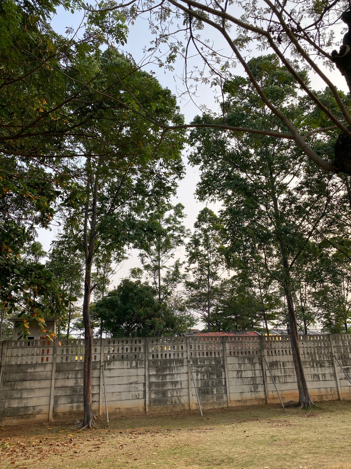 Morning scenes across a Jakarta urban park and its surroundings