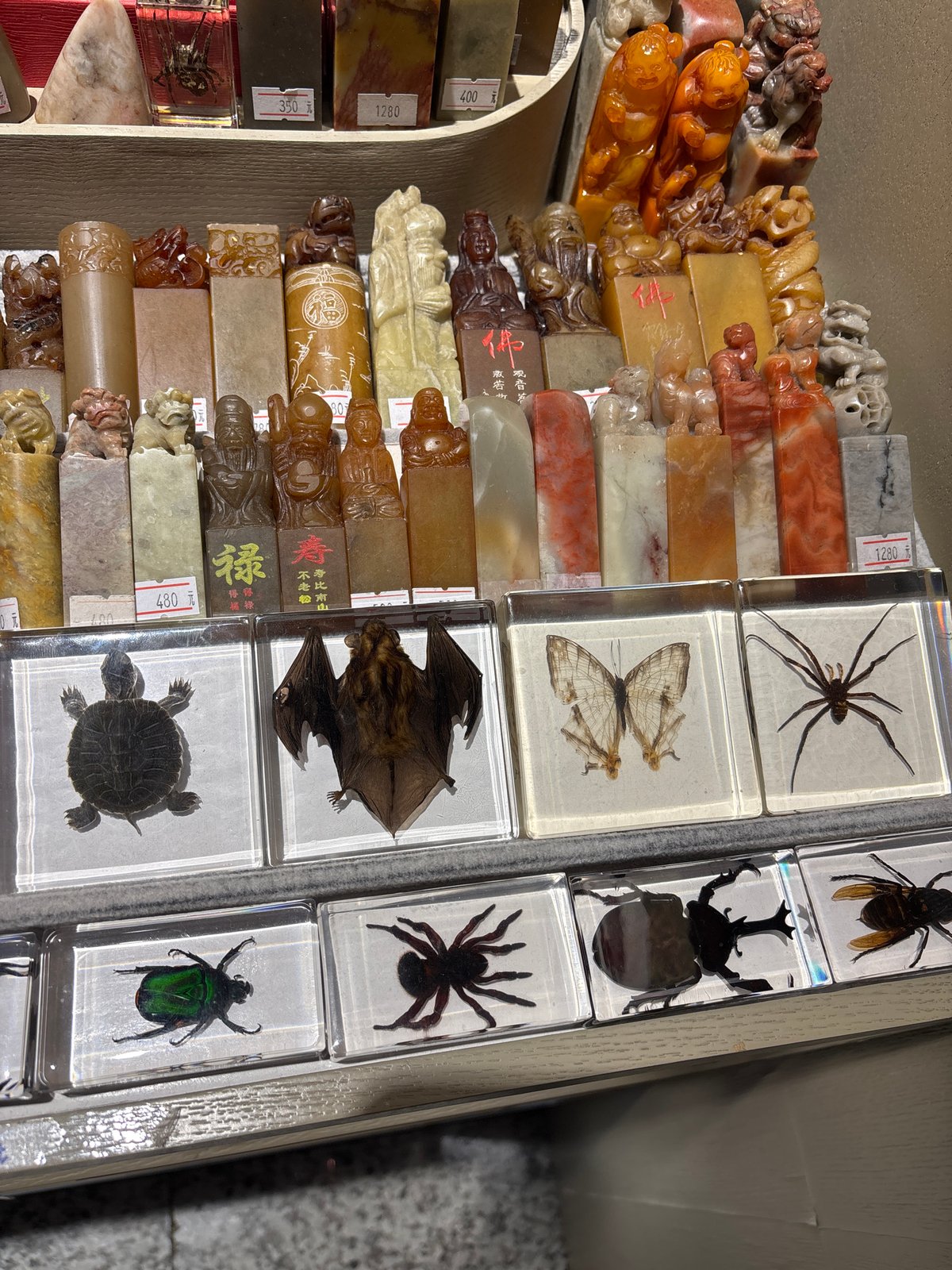 Tourist explores Guangzhou shops, restaurants and airport facilities