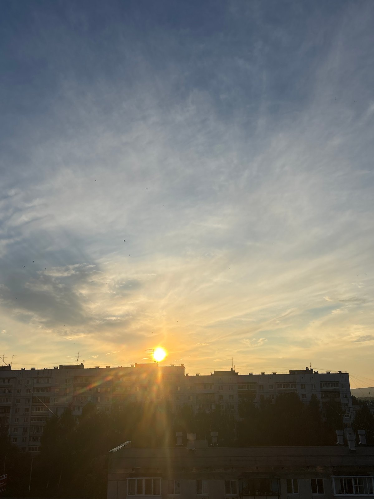 Lazy summer evening at home in Chaikovsky, cat included