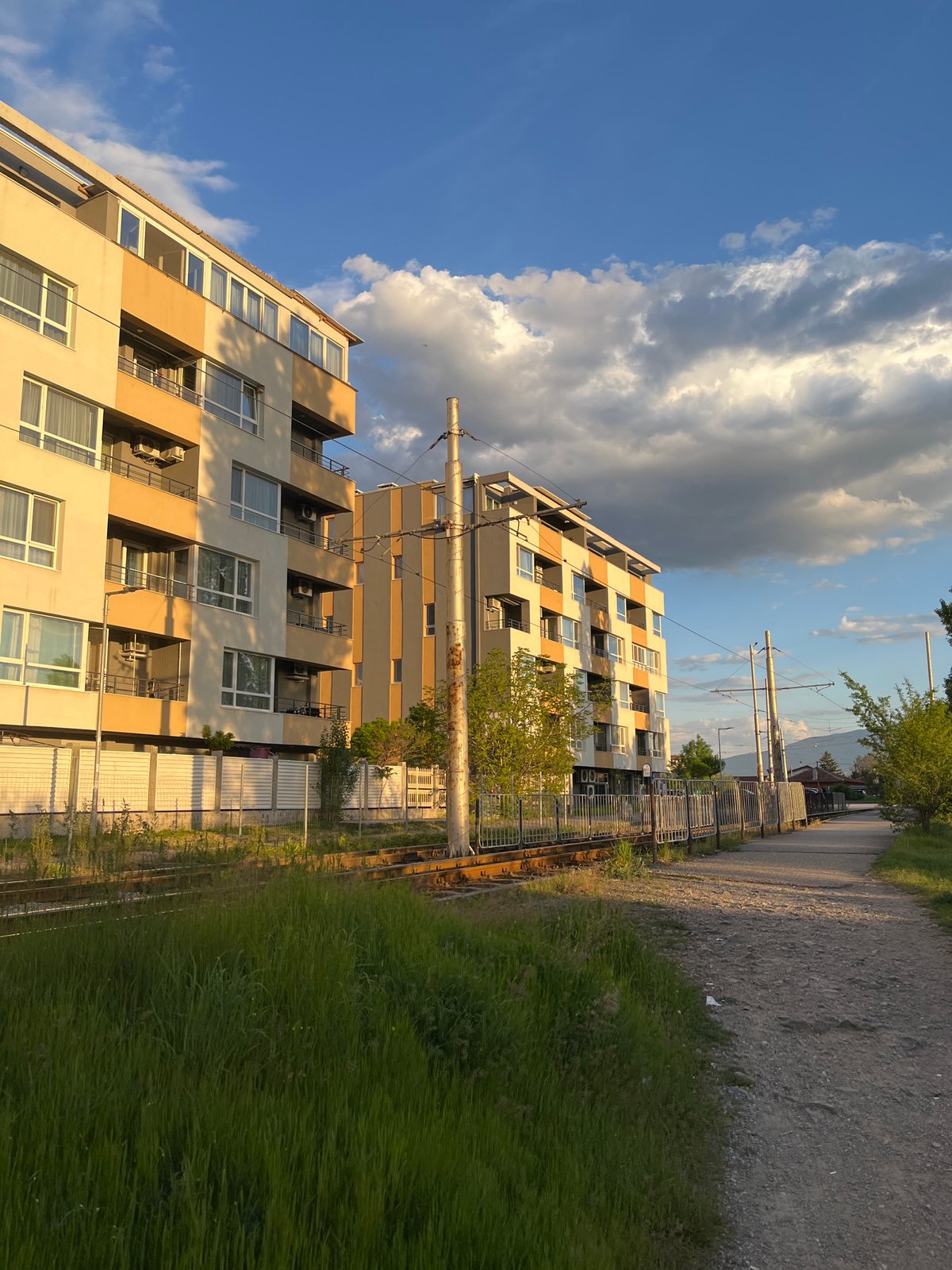 Spring walk through Sofia residential area captures blooming trees