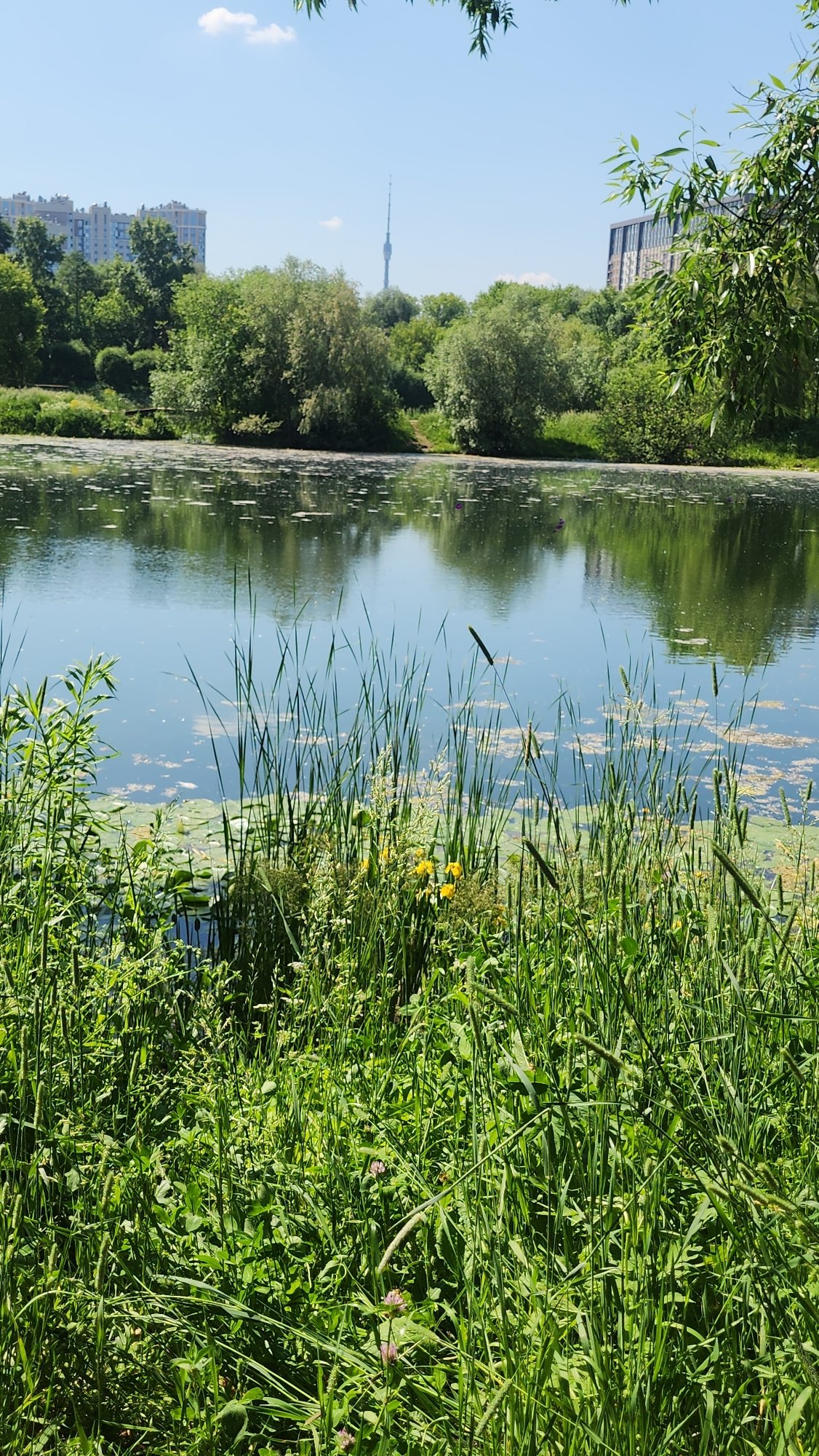 Morning park scenes captured across Moscow waterways and pathways