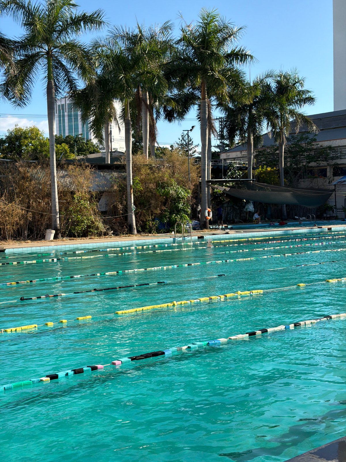 Morning life documented in Nha Trang: pools, streets, pedestrians