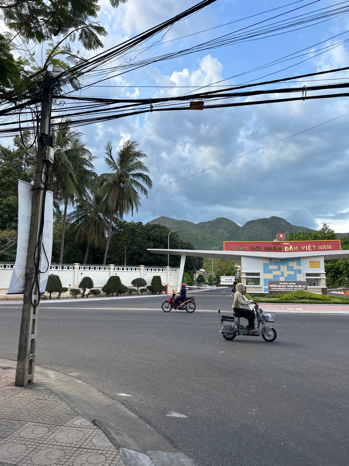 Street nurseries and everyday scenes in Nha Trang's northern ward