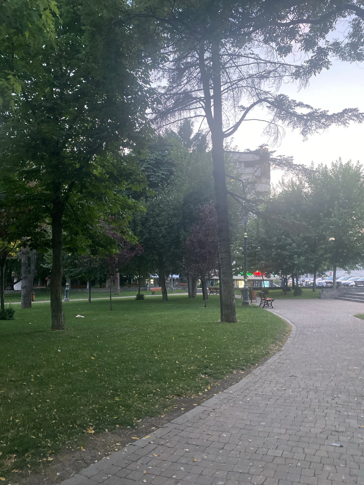 Evening stroll through a quiet park in Iași, Romania