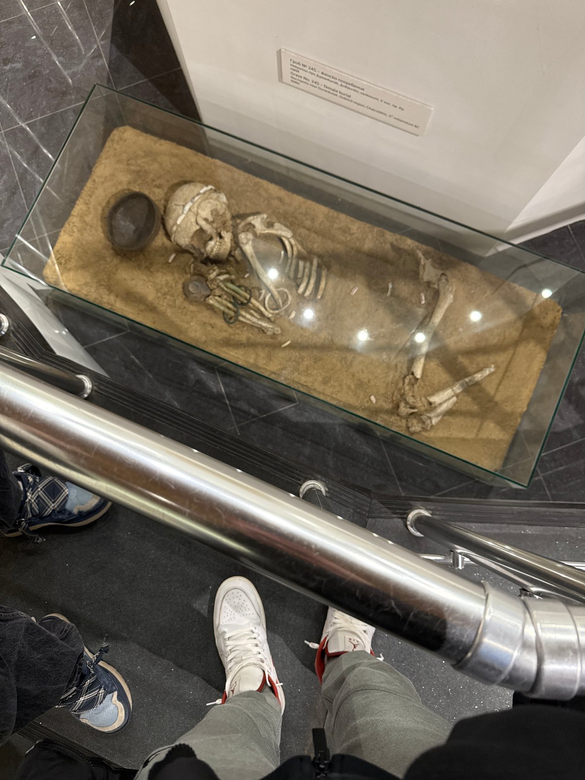 Archaeological skeleton exhibit documented in Sofia museum display