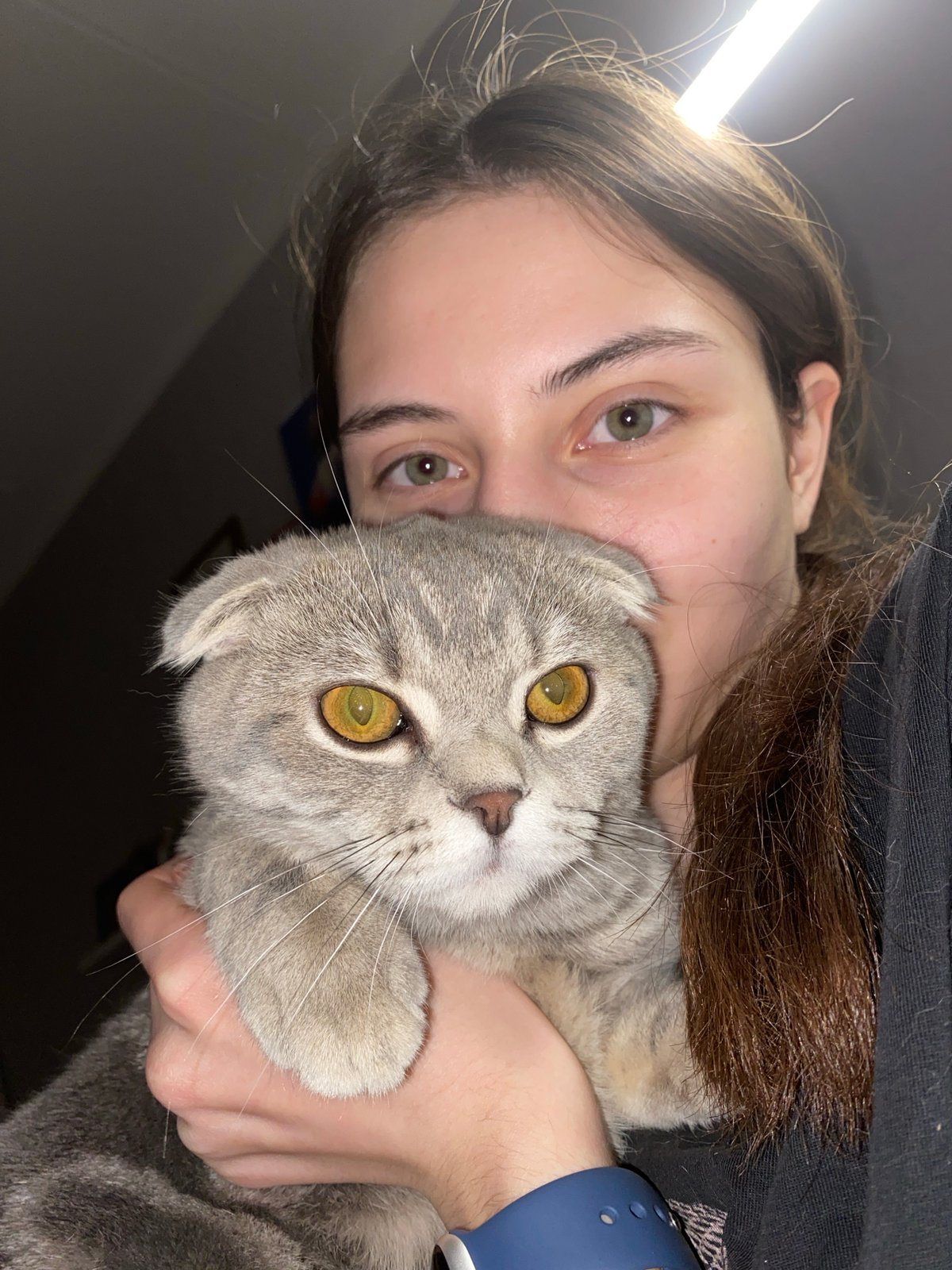 Pet owner documents chinchilla and cat photography session in Votkinsk