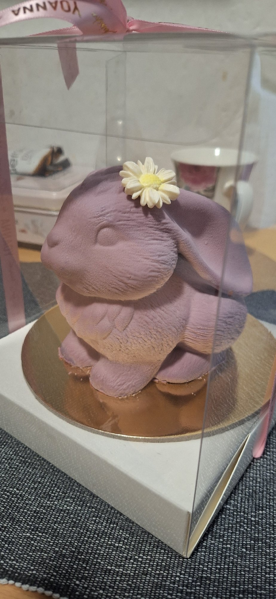Custom cakes and sleeping dog captured in Blagoevgrad home