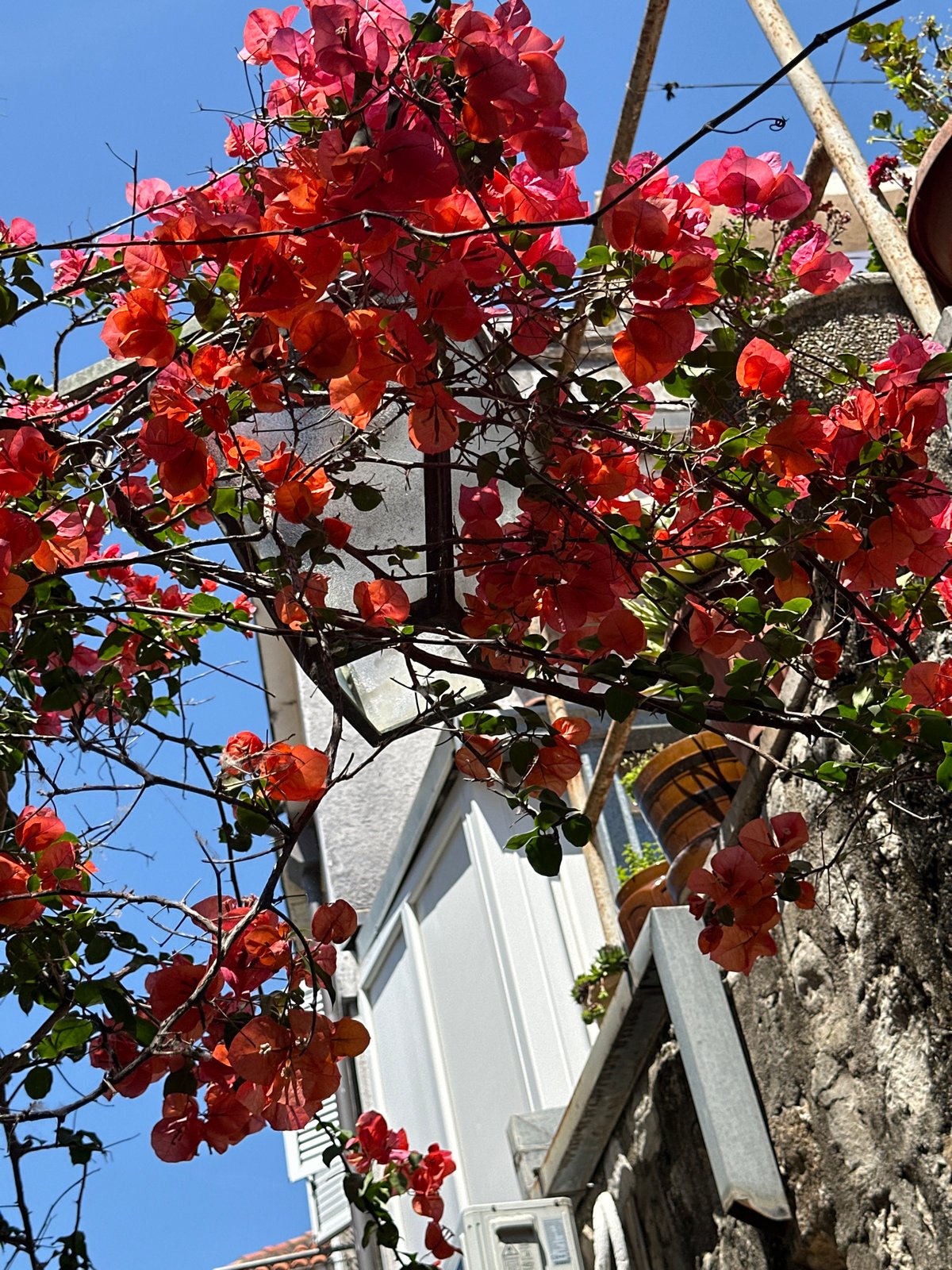 Tourist captures everyday life in historic Budva Montenegro