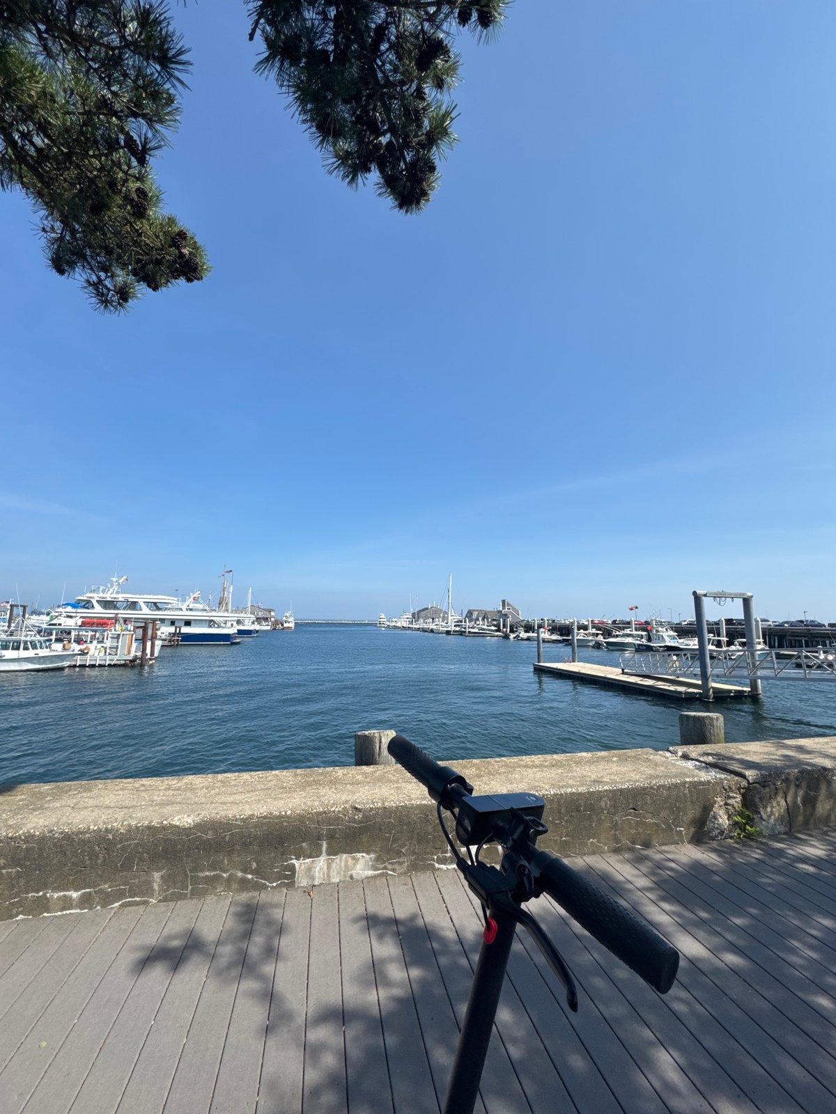 Electric scooter parked with a sunny marina in the background