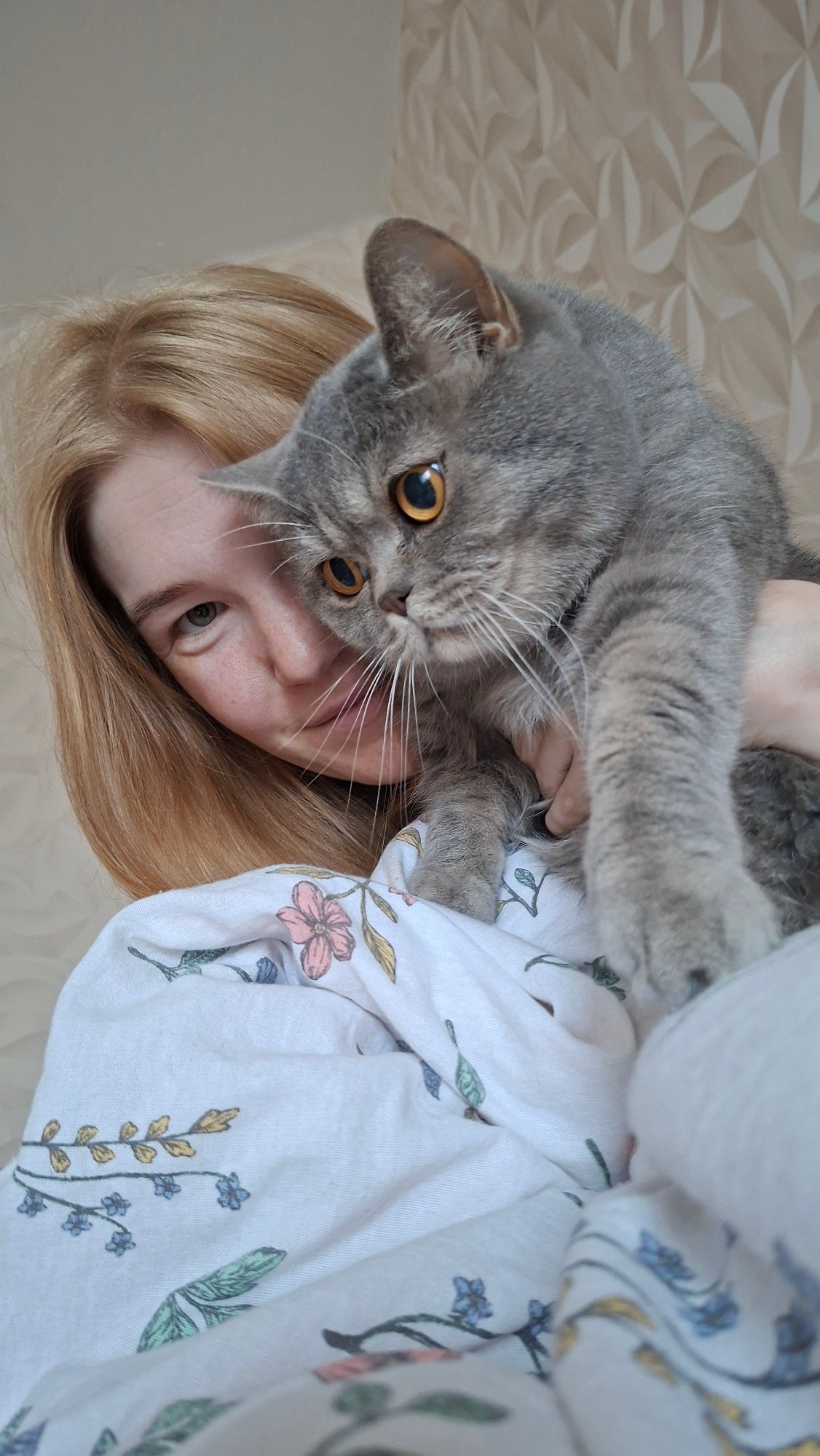 Cozy morning at home with a grey cat in Chaikovsky