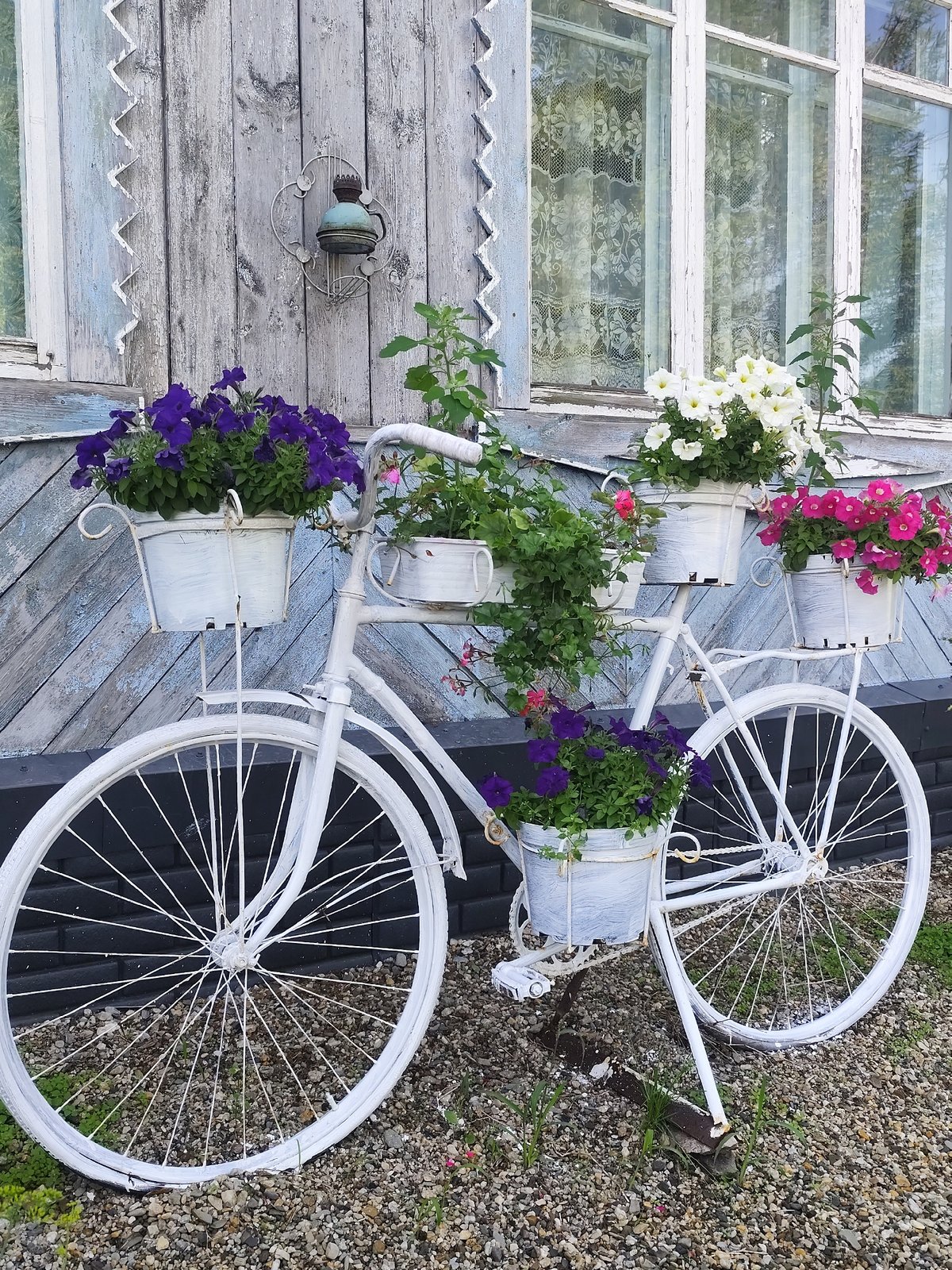 Summer details from a Russian village: flowers, lilies, apples, and a puppy